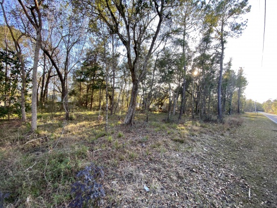 Freeport, Florida 32439, ,Land,For Sale,Pinelog,865572