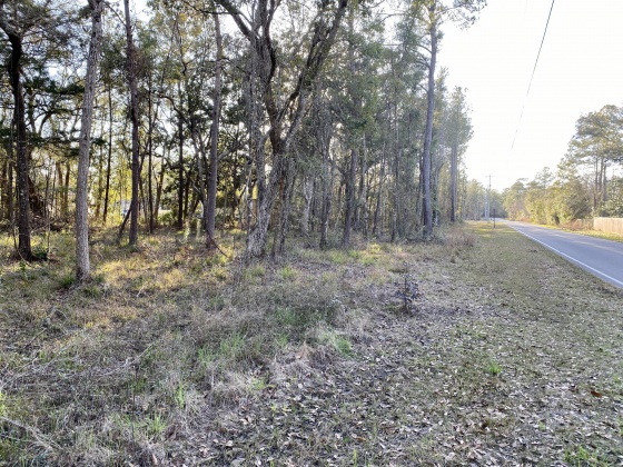 Freeport, Florida 32439, ,Land,For Sale,Pinelog,865572