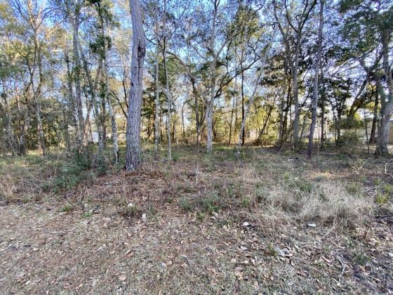 Freeport, Florida 32439, ,Land,For Sale,Pinelog,865572