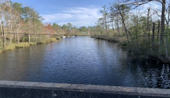 Freeport, Florida 32439, ,Land,For Sale,Clipper Cove,867020