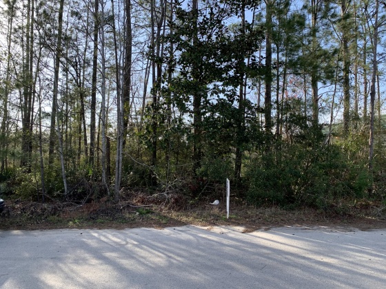 Freeport, Florida 32439, ,Land,For Sale,Clipper Cove,867020