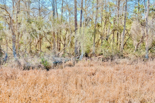 Inlet Beach, Florida 32461, ,Land,For Sale,Box Turtle,867117