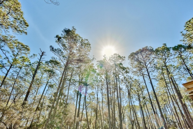 Inlet Beach, Florida 32461, ,Land,For Sale,Box Turtle,867117
