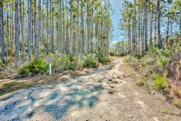 Inlet Beach, Florida 32461, ,Land,For Sale,Box Turtle,867117