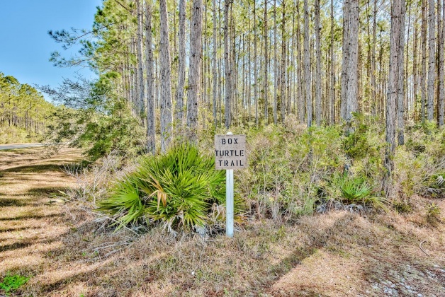 Inlet Beach, Florida 32461, ,Land,For Sale,Box Turtle,867117