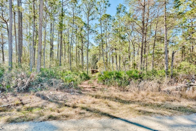 Inlet Beach, Florida 32461, ,Land,For Sale,Box Turtle,867117