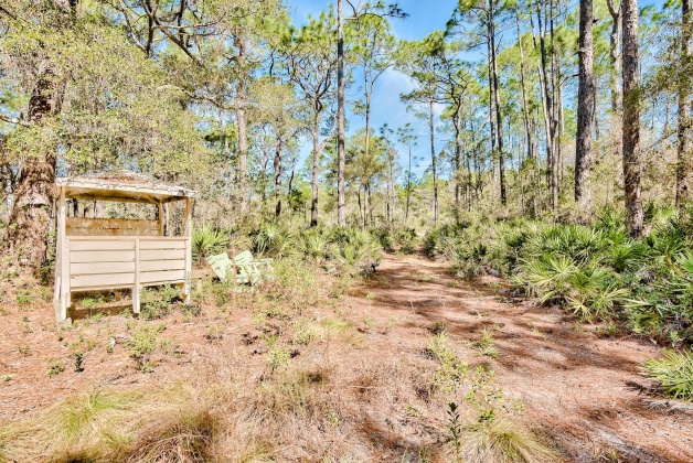Inlet Beach, Florida 32461, ,Land,For Sale,Box Turtle,867117