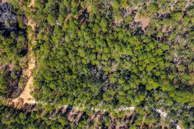 Santa Rosa Beach, Florida 32459, ,Commercial for Sale,For Sale,Point Washington,867167