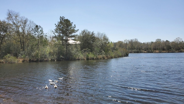 Crestview, Florida 32536, ,Land,For Sale,Doris,867176