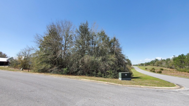 Crestview, Florida 32536, ,Land,For Sale,Doris,867176