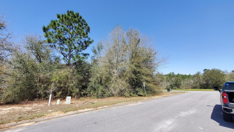 Crestview, Florida 32536, ,Land,For Sale,Doris,867176