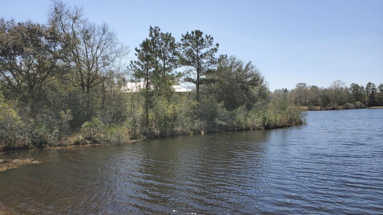 Crestview, Florida 32536, ,Land,For Sale,Doris,867180