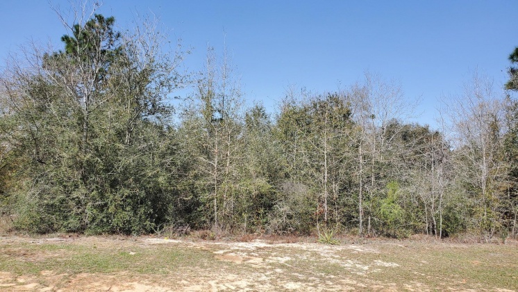 Crestview, Florida 32536, ,Land,For Sale,Doris,867180