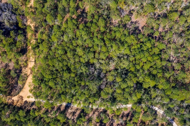 Santa Rosa Beach, Florida 32459, ,Land,For Sale,Point Washington,867160