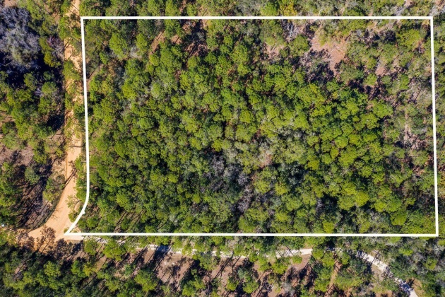 Santa Rosa Beach, Florida 32459, ,Land,For Sale,Point Washington,867160