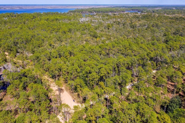 Santa Rosa Beach, Florida 32459, ,Land,For Sale,Point Washington,867160
