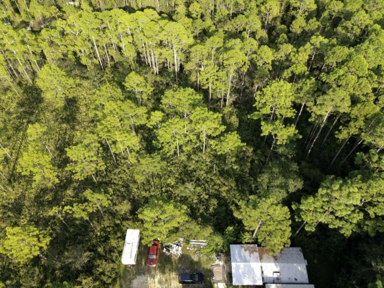 Santa Rosa Beach, Florida 32459, ,Land,For Sale,Central 6th Lot 3,864076