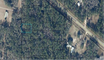 Bonifay, Florida 32425, ,Land,For Sale,Hwy 179,867236