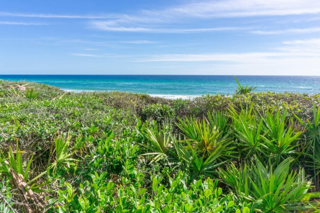Inlet Beach, Florida 32461, 3 Bedrooms Bedrooms, ,3 BathroomsBathrooms,Residential,For Sale,County Hwy 30A,867215