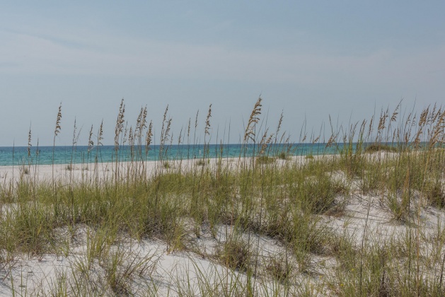 Inlet Beach, Florida 32461, 3 Bedrooms Bedrooms, ,3 BathroomsBathrooms,Residential,For Sale,Dune Comet,867249