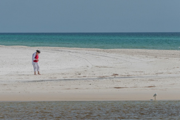 Inlet Beach, Florida 32461, 3 Bedrooms Bedrooms, ,3 BathroomsBathrooms,Residential,For Sale,Dune Comet,867249