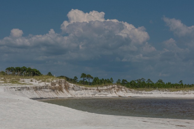 Inlet Beach, Florida 32461, 3 Bedrooms Bedrooms, ,3 BathroomsBathrooms,Residential,For Sale,Dune Comet,867249