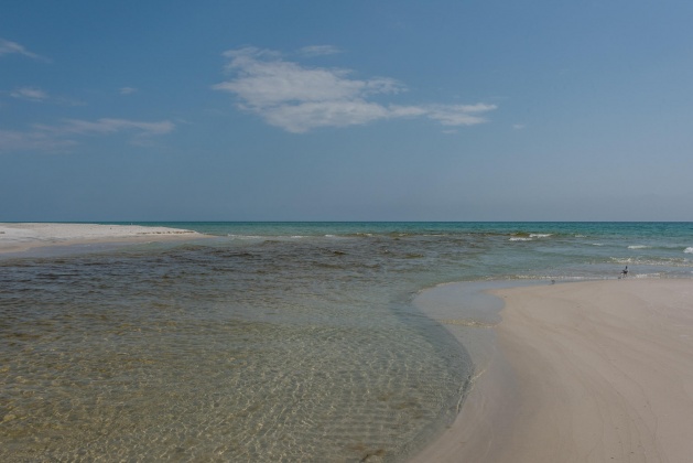 Inlet Beach, Florida 32461, 3 Bedrooms Bedrooms, ,3 BathroomsBathrooms,Residential,For Sale,Dune Comet,867249