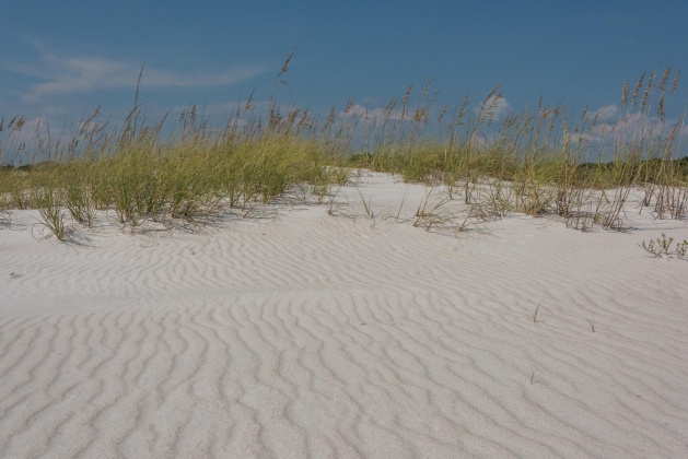 Inlet Beach, Florida 32461, 3 Bedrooms Bedrooms, ,3 BathroomsBathrooms,Residential,For Sale,Dune Comet,867249