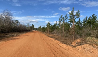 Milton, Florida 32570, ,Land,For Sale,Munson Hwy,867276