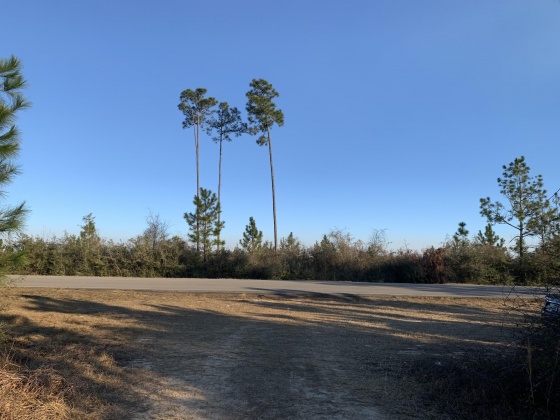 Milton, Florida 32570, ,Land,For Sale,Munson Hwy,867276