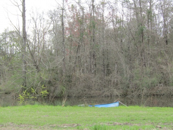 See Remarks, Alabama N/A, 3 Bedrooms Bedrooms, ,2 BathroomsBathrooms,Residential,For Sale,County Road 10,867268