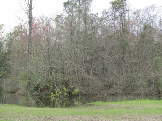 See Remarks, Alabama N/A, 3 Bedrooms Bedrooms, ,2 BathroomsBathrooms,Residential,For Sale,County Road 10,867268