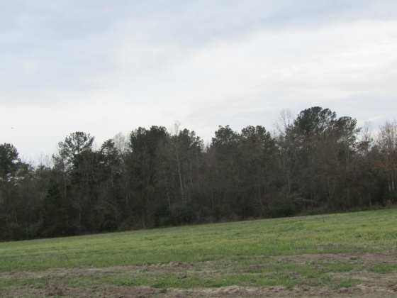 See Remarks, Alabama N/A, 3 Bedrooms Bedrooms, ,2 BathroomsBathrooms,Residential,For Sale,County Road 10,867268