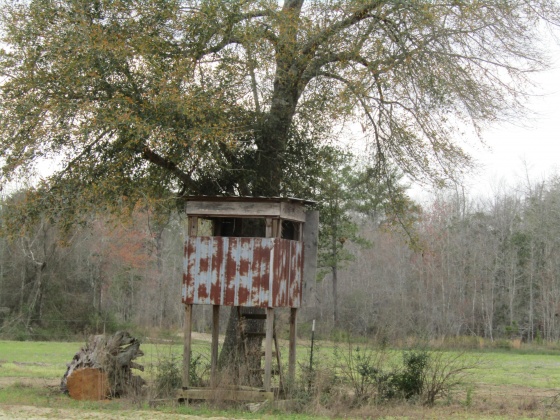 See Remarks, Alabama N/A, 3 Bedrooms Bedrooms, ,2 BathroomsBathrooms,Residential,For Sale,County Road 10,867268