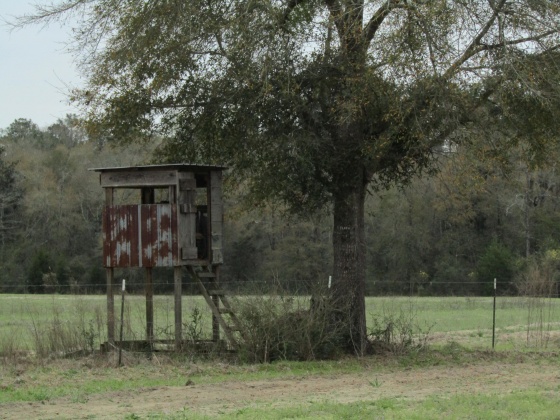 See Remarks, Alabama N/A, 3 Bedrooms Bedrooms, ,2 BathroomsBathrooms,Residential,For Sale,County Road 10,867268