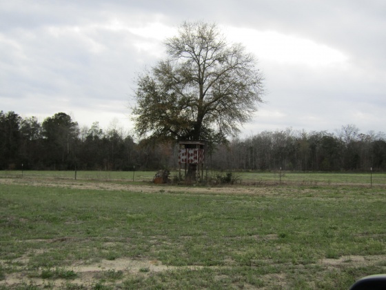 See Remarks, Alabama N/A, 3 Bedrooms Bedrooms, ,2 BathroomsBathrooms,Residential,For Sale,County Road 10,867268