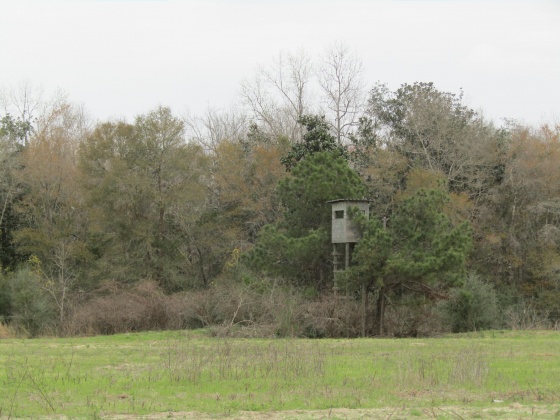 See Remarks, Alabama N/A, 3 Bedrooms Bedrooms, ,2 BathroomsBathrooms,Residential,For Sale,County Road 10,867268