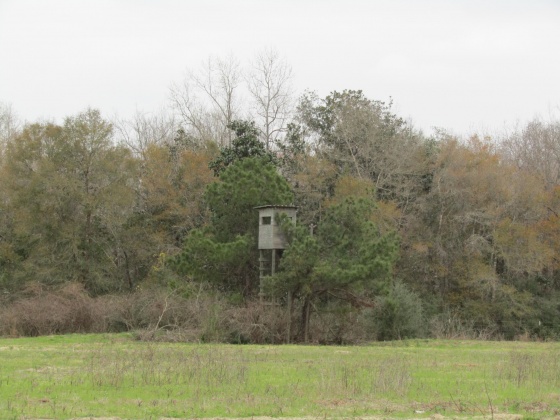 See Remarks, Alabama N/A, 3 Bedrooms Bedrooms, ,2 BathroomsBathrooms,Residential,For Sale,County Road 10,867268