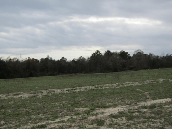 See Remarks, Alabama N/A, 3 Bedrooms Bedrooms, ,2 BathroomsBathrooms,Residential,For Sale,County Road 10,867268