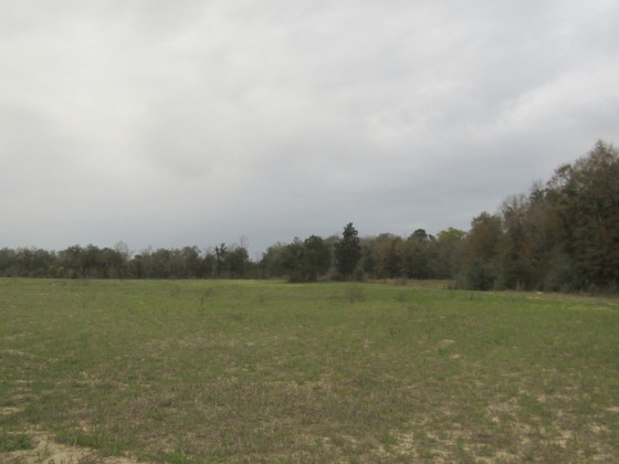 See Remarks, Alabama N/A, 3 Bedrooms Bedrooms, ,2 BathroomsBathrooms,Residential,For Sale,County Road 10,867268