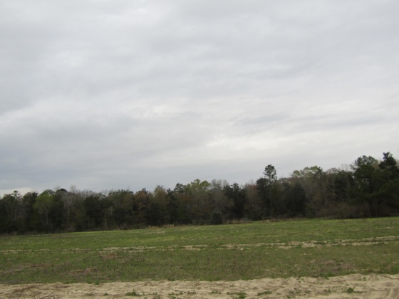 See Remarks, Alabama N/A, 3 Bedrooms Bedrooms, ,2 BathroomsBathrooms,Residential,For Sale,County Road 10,867268