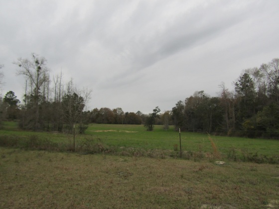 See Remarks, Alabama N/A, 3 Bedrooms Bedrooms, ,2 BathroomsBathrooms,Residential,For Sale,County Road 10,867268