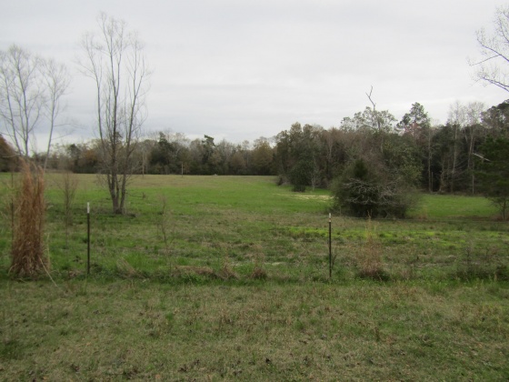 See Remarks, Alabama N/A, 3 Bedrooms Bedrooms, ,2 BathroomsBathrooms,Residential,For Sale,County Road 10,867268