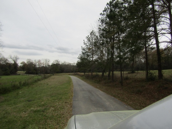 See Remarks, Alabama N/A, 3 Bedrooms Bedrooms, ,2 BathroomsBathrooms,Residential,For Sale,County Road 10,867268