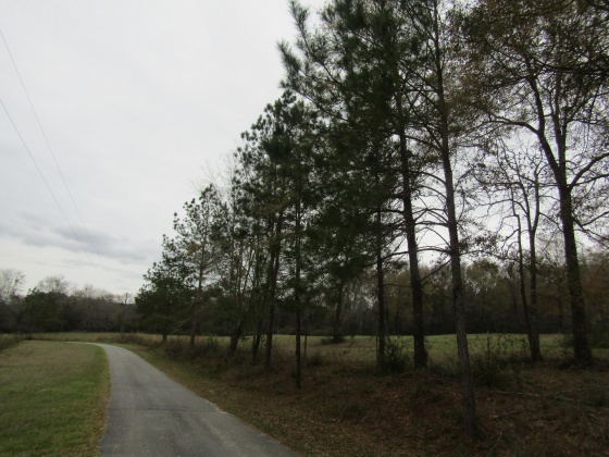 See Remarks, Alabama N/A, 3 Bedrooms Bedrooms, ,2 BathroomsBathrooms,Residential,For Sale,County Road 10,867268
