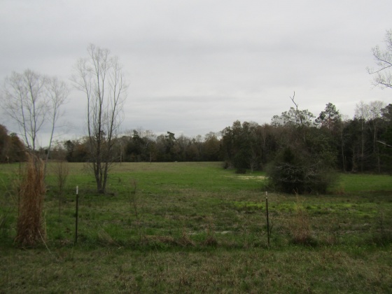 See Remarks, Alabama N/A, 3 Bedrooms Bedrooms, ,2 BathroomsBathrooms,Residential,For Sale,County Road 10,867268