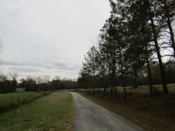 See Remarks, Alabama N/A, 3 Bedrooms Bedrooms, ,2 BathroomsBathrooms,Residential,For Sale,County Road 10,867268