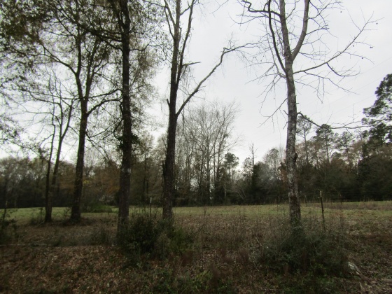 See Remarks, Alabama N/A, 3 Bedrooms Bedrooms, ,2 BathroomsBathrooms,Residential,For Sale,County Road 10,867268