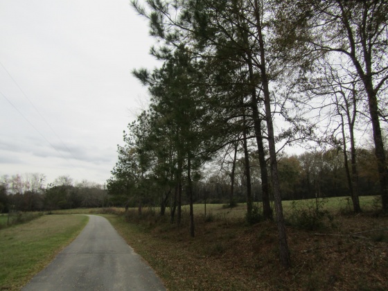 See Remarks, Alabama N/A, 3 Bedrooms Bedrooms, ,2 BathroomsBathrooms,Residential,For Sale,County Road 10,867268
