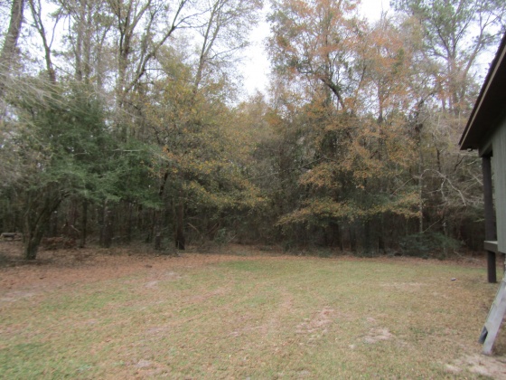 See Remarks, Alabama N/A, 3 Bedrooms Bedrooms, ,2 BathroomsBathrooms,Residential,For Sale,County Road 10,867268